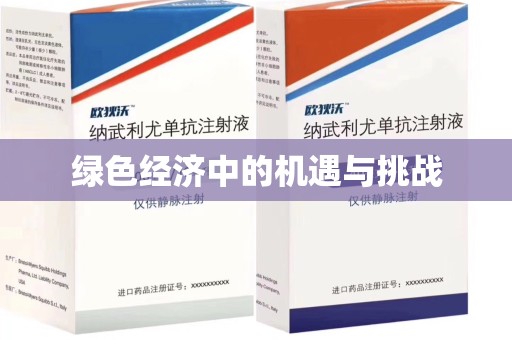 汕头绿色经济中的机遇与挑战