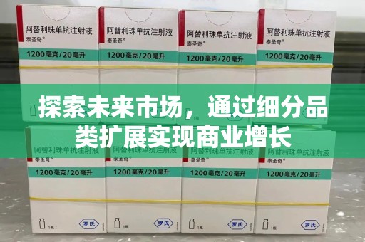 汕头探索未来市场，通过细分品类扩展实现商业增长