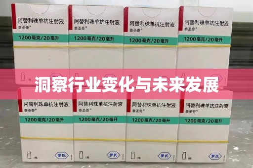 汕头洞察行业变化与未来发展