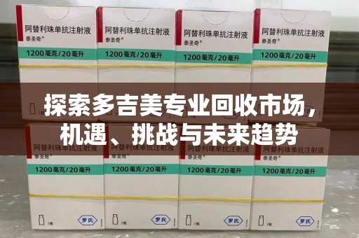 汕头探索多吉美专业回收市场，机遇、挑战与未来趋势