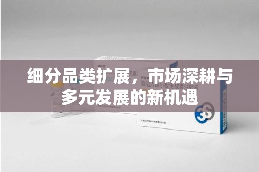 汕头细分品类扩展，市场深耕与多元发展的新机遇